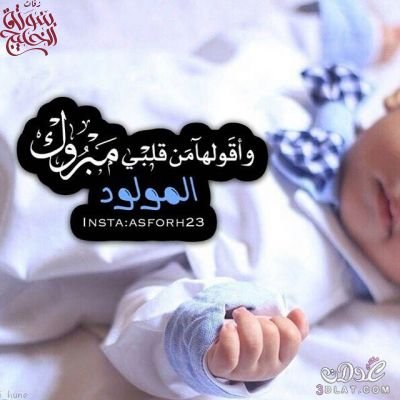شيلات مولود 
