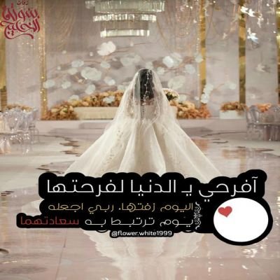 شيلات عروس 